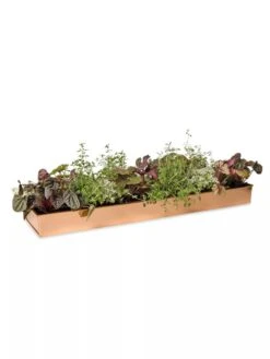 Rectangular Copper Plant Tray, 24" X 5" -Eco Garden Shop 8593533 2878 tif