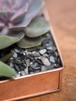 Rectangular Copper Plant Tray, 24" X 5" -Eco Garden Shop 8593533 4570 tif