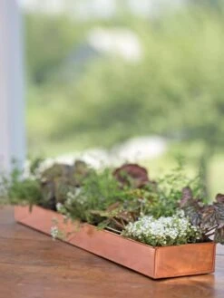 Rectangular Copper Plant Tray, 24" X 5" -Eco Garden Shop 8593533 4626 tif