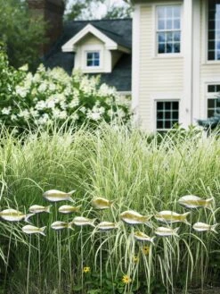 Fish Out Of Water Garden Stakes, Set Of 5 -Eco Garden Shop 8593672 9124 tif