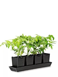 Pop-Out Pots, Set Of 4 -Eco Garden Shop 8593943 1260 tif