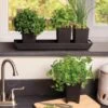 Pop-Out Pots, Set Of 4 -Eco Garden Shop 8593943 4731 tif