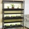 High Intensity 3-Tier SunLite® Garden -Eco Garden Shop 8593944 1773 3 tier high intensity grow lights tif