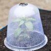 Large Garden Cloches, Set Of 3 -Eco Garden Shop 8593984 345 tif