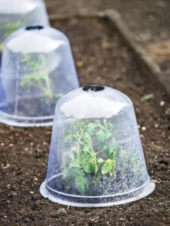 Large Garden Cloches, Set Of 3 -Eco Garden Shop 8593984 9432 tif