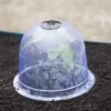 Medium Garden Cloches, Set Of 6 2 Medium Garden Cloches, Set Of 6 -Eco Garden Shop 8593985 347 tif