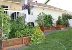 OLT Raised Cedar Garden Bed, 3' X 6' -Eco Garden Shop 8594002 03V tif