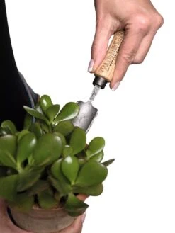 Gardener's Lifetime Mini Trowel -Eco Garden Shop 8594146 0111 tif