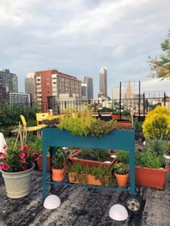 Demeter Mobile Planter Cart -Eco Garden Shop 8594148 01CUST tif