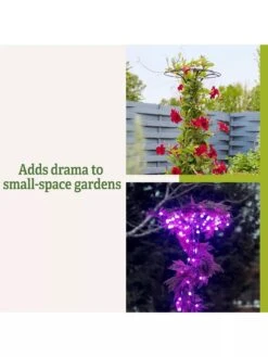 Essex Tuteur, 63" 13 Essex Tuteur, 63" -Eco Garden Shop 8594162 3