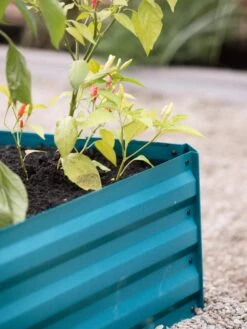 Demeter Corrugated Metal Raised Bed, 34" X 34" -Eco Garden Shop 8594183 470 tif