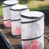 Tomato TLC Kits, Set Of 3 -Eco Garden Shop 8594214 0183 tif