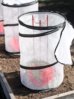 Tomato TLC Kits, Set Of 3 -Eco Garden Shop 8594214 0186 tif