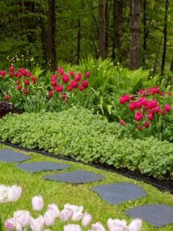 Recycled Rubber Flagstone Stepping Stone -Eco Garden Shop 8594282 518 tif