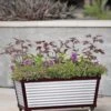 Short Galvanized Self-Watering Trough Planter -Eco Garden Shop 8594329 5064 tif