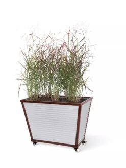 Tall Galvanized Self-Watering Trough Planter -Eco Garden Shop 8594330 8541 tif