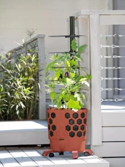 Gardener's Revolution® Tomato Planter -Eco Garden Shop 8594743 2618 tif