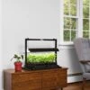 LED SunLite® Compact Tabletop Garden 2 LED SunLite® Compact Tabletop Garden -Eco Garden Shop 8595555 101 small led grow lights sunlite compact tabletop garden tif