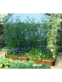 Stack & Extend Veggie Wall -Eco Garden Shop 8595683 02V 3 4