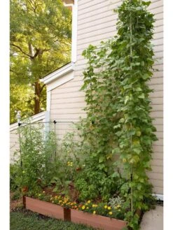Stack & Extend Veggie Wall -Eco Garden Shop 8595683 07V 3 4