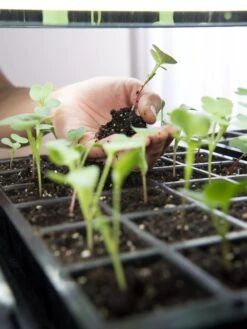 LED Stack-n-Grow Lights - Base Unit -Eco Garden Shop 8595770 7373 tif