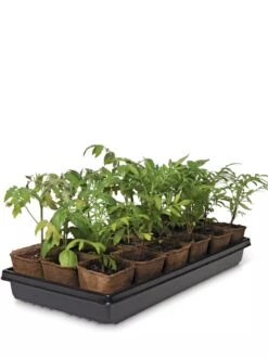 3-1/2” Square Biodegradable Pots & Tray Set -Eco Garden Shop 8595968 3916 tif