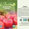 Brandywine Tomato Organic Seeds -Eco Garden Shop 8596098 001V Brandywine Tomato tif