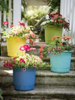 Eezy Gro Self-Watering Planters 13 Eezy Gro Self-Watering Planters -Eco Garden Shop 8596427 8090 tif