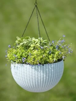 Weave Self-Watering Hanging Basket, 14" -Eco Garden Shop 8596490 10307 tif