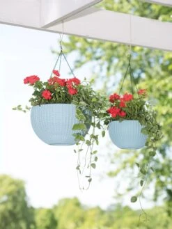 Weave Self-Watering Hanging Basket, 10" -Eco Garden Shop 8596490 2069 tif