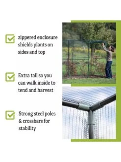 Crop Cage, 4' X 12' -Eco Garden Shop 8596540 4