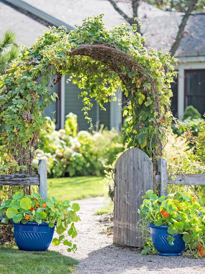 Mazzano Self-Watering Planters 4 Mazzano Self-Watering Planters - Image 2