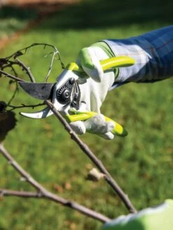 Gardener's Pro Pruner #2 -Eco Garden Shop 8596605 032 tif