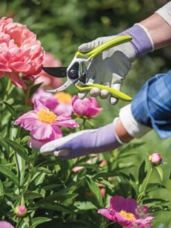 Gardener's Pro Pruner #2 -Eco Garden Shop 8596605 1261 tif