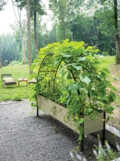 Eco-Stained Elevated Planter Box, 2'x8' -Eco Garden Shop 8596760 0046 tif 1