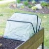 Pop-Up Crop Protector -Eco Garden Shop 8596763 17310 tif