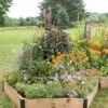 Pollinator Garden Bed -Eco Garden Shop 8597000 4103 tif
