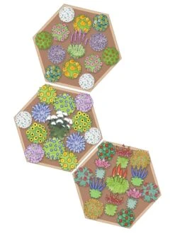 Pollinator Garden Bed -Eco Garden Shop 8597000 Hummingbird Plan tif