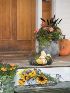 Galvanized Rim Planters -Eco Garden Shop 8597379 1625 tif