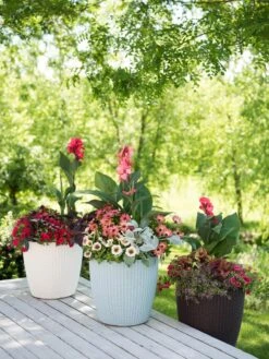 Weave Self-Watering Round Planter, 14" -Eco Garden Shop 8597388 2141 tif