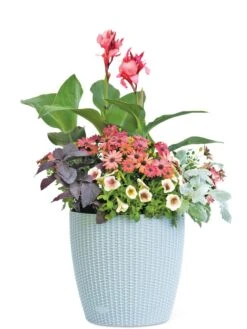 Weave Self-Watering Round Planter, 14" -Eco Garden Shop 8597388 2175 tif