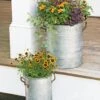 Galvanized Rim Planters -Eco Garden Shop 8597442 1700 tif
