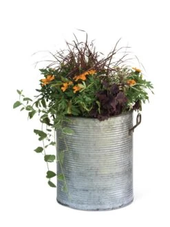 Galvanized Rim Planters -Eco Garden Shop 8597443 1704 tif