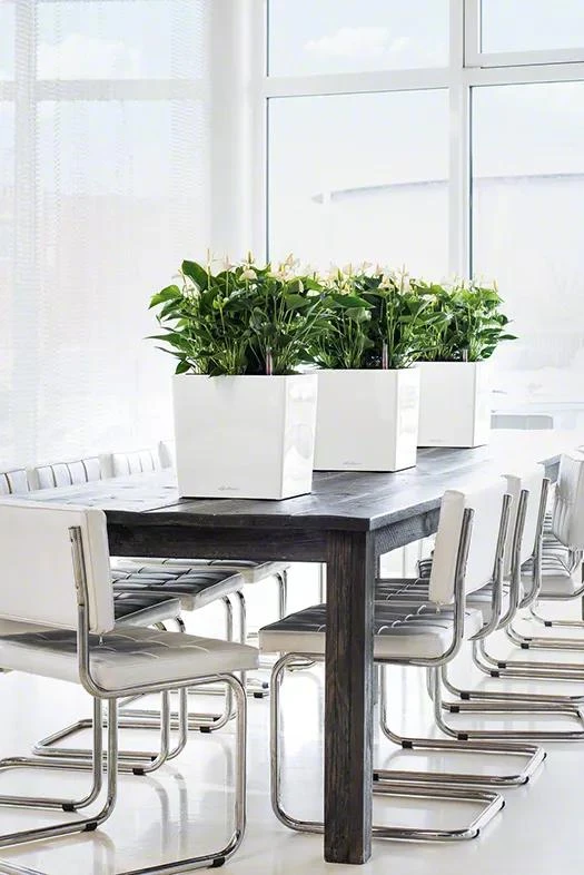 Lechuza® Cube Premium Planters 3 Lechuza® Cube Premium Planters