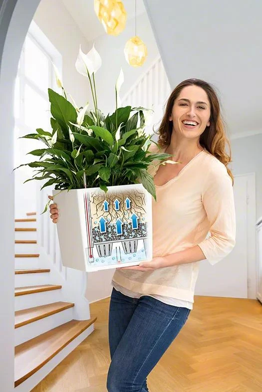 Lechuza® Cube Premium Planters 4 Lechuza® Cube Premium Planters - Image 2