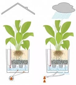 Lechuza® Cube Premium Planters 11 Lechuza® Cube Premium Planters -Eco Garden Shop 8597506 05V tif