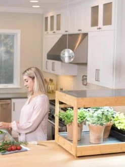 Low Bamboo LED Grow Light Garden -Eco Garden Shop 8597720 0816 tif