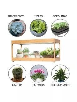 Low Bamboo LED Grow Light Garden -Eco Garden Shop 8597720 3