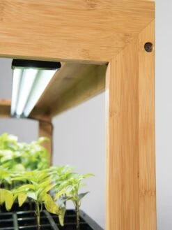Bamboo Display LED Grow Light Garden -Eco Garden Shop 8597720 7802 tif