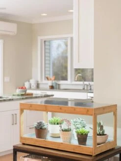 Low Bamboo LED Grow Light Garden -Eco Garden Shop 8597720 9385 tif